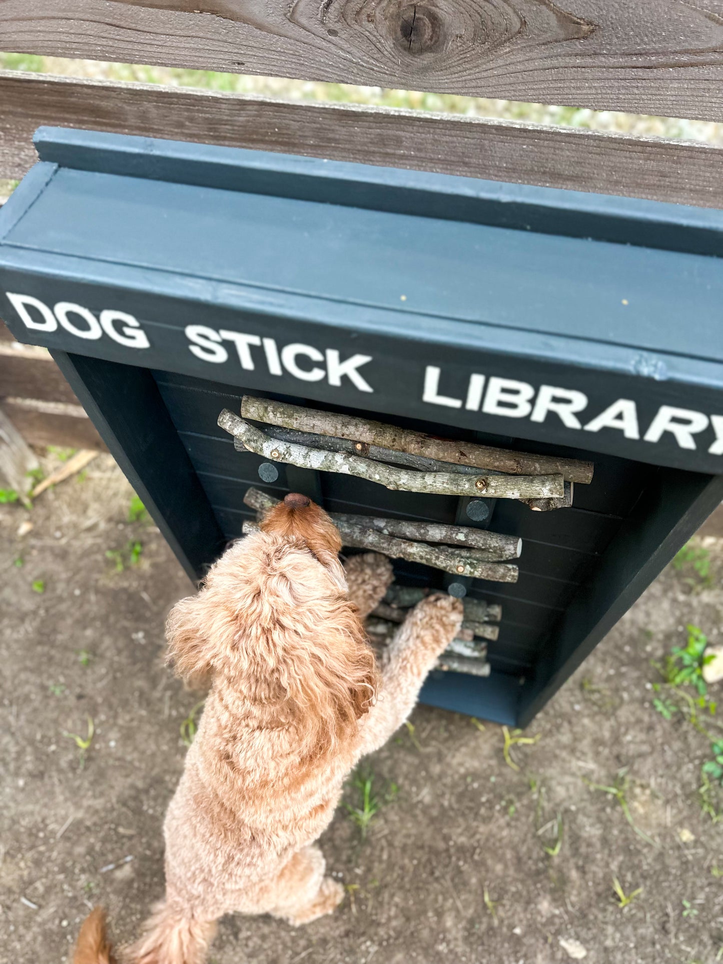 Dog Stick Library (Grey)