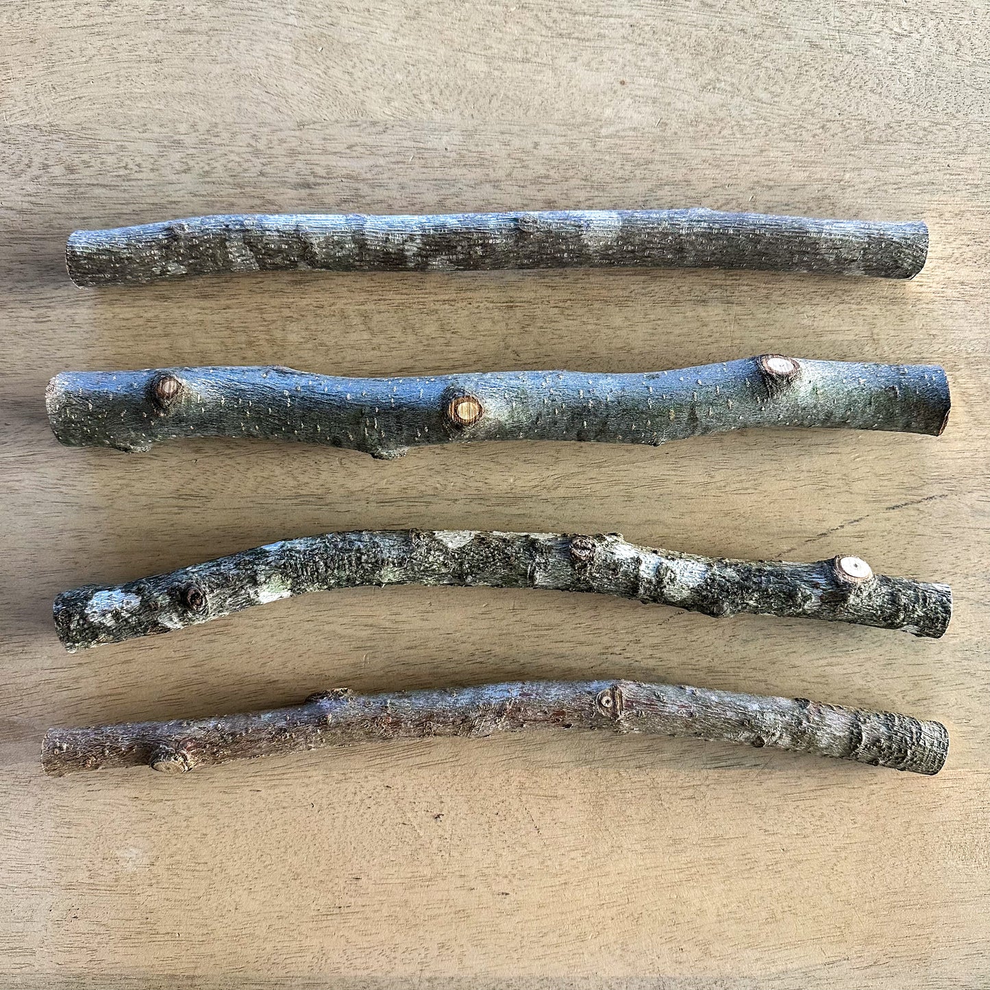 Stick Refill Bundle