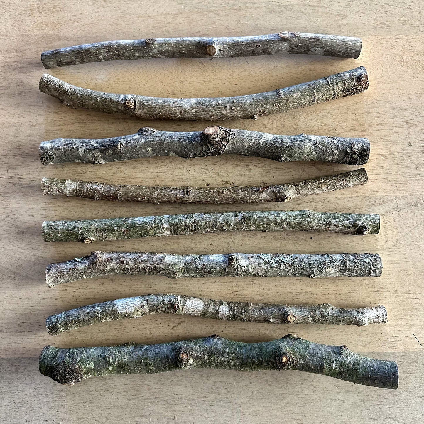 Stick Refill Bundle