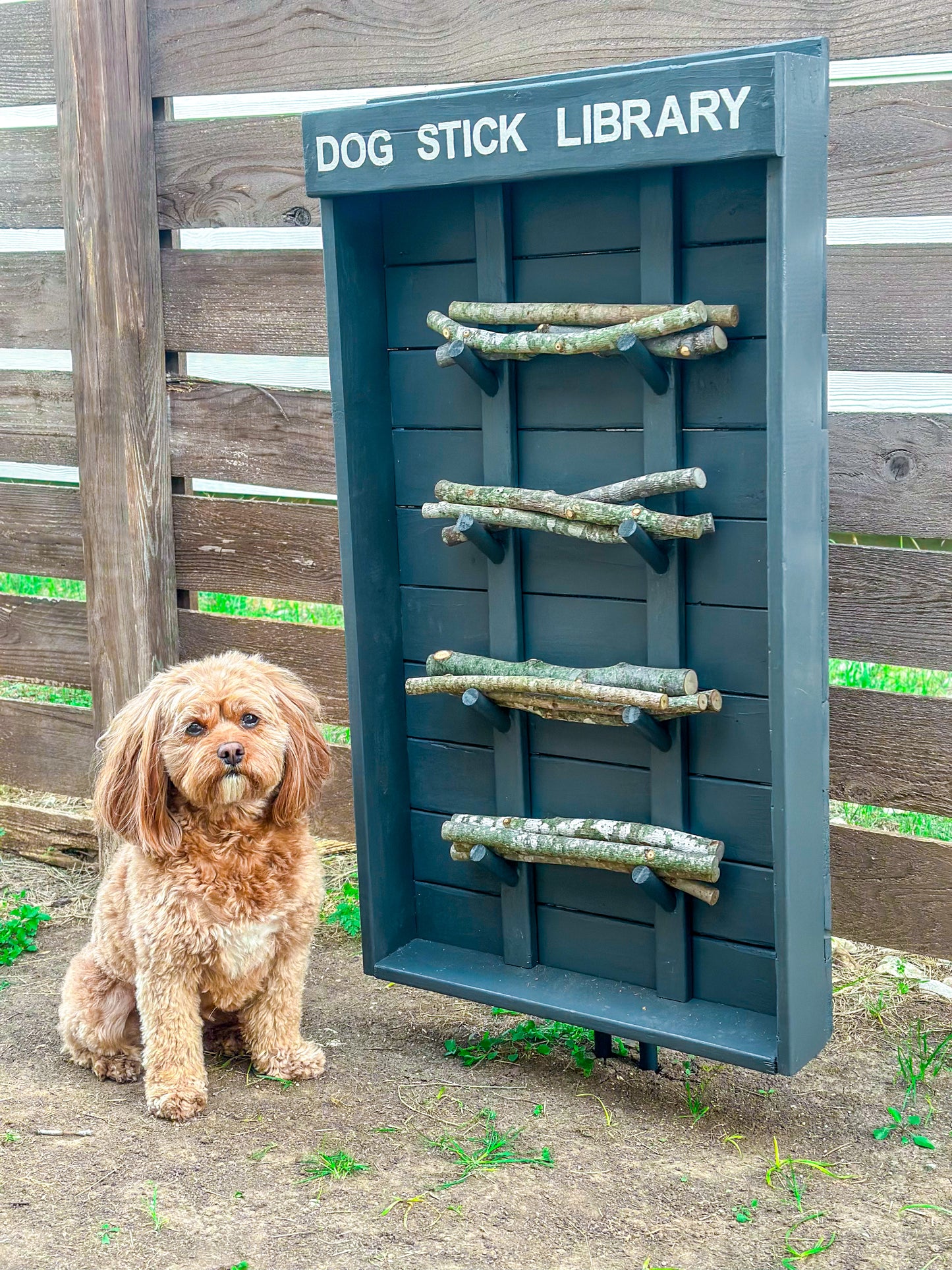 Dog Stick Library (Grey)