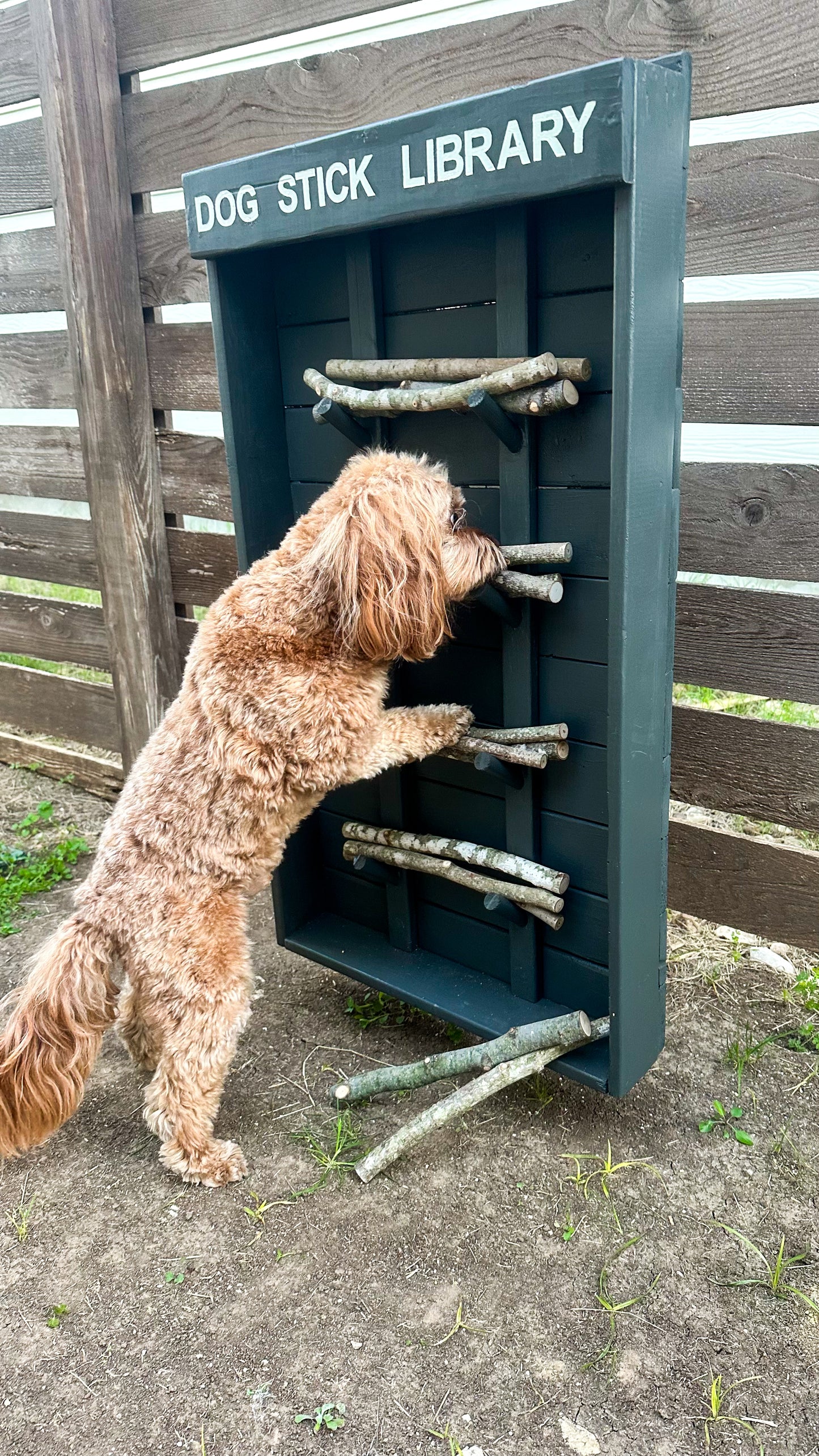 Dog Stick Library (Grey)