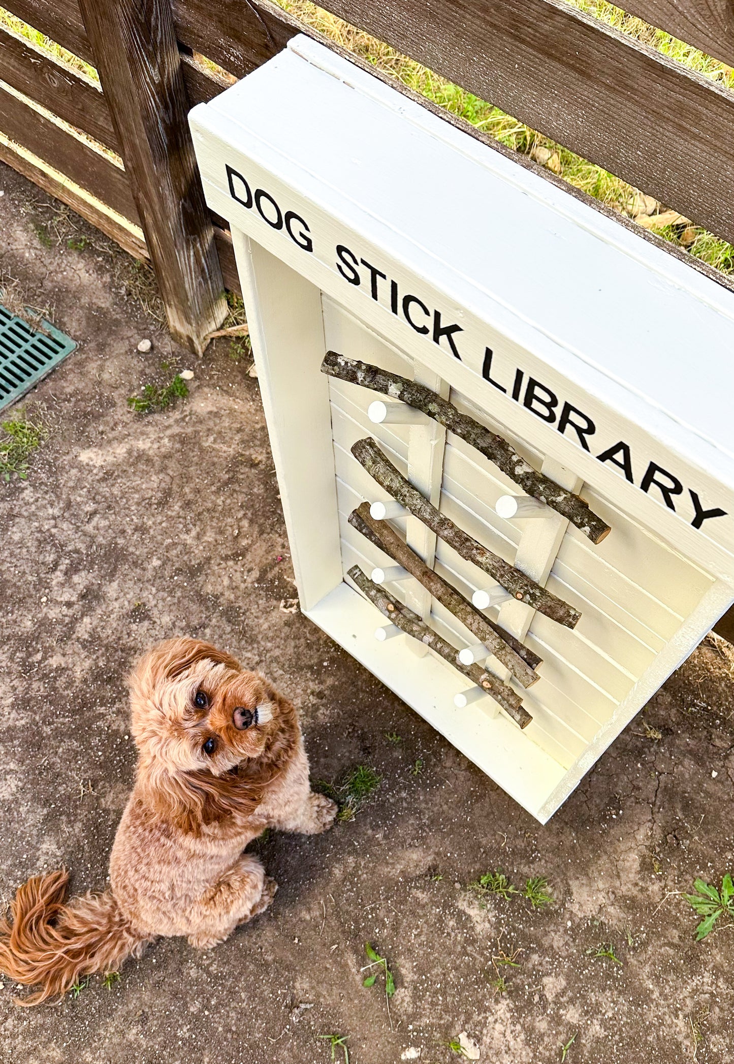 Dog Stick Library (Beige)